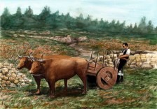 Extracción de Pedra no Castro da Pedreira