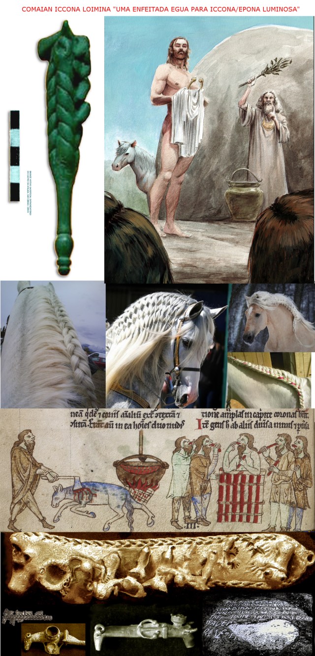 COMAIAM ICCONA LOIMINNA (NN/NH)