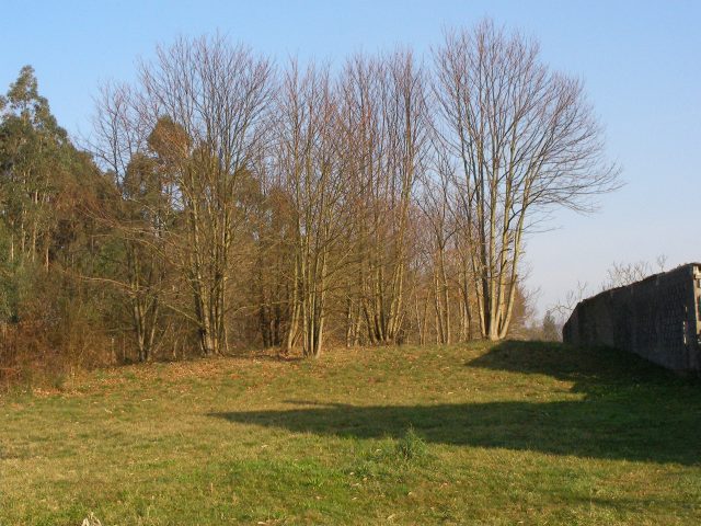 SANYO DIGITAL CAMERA