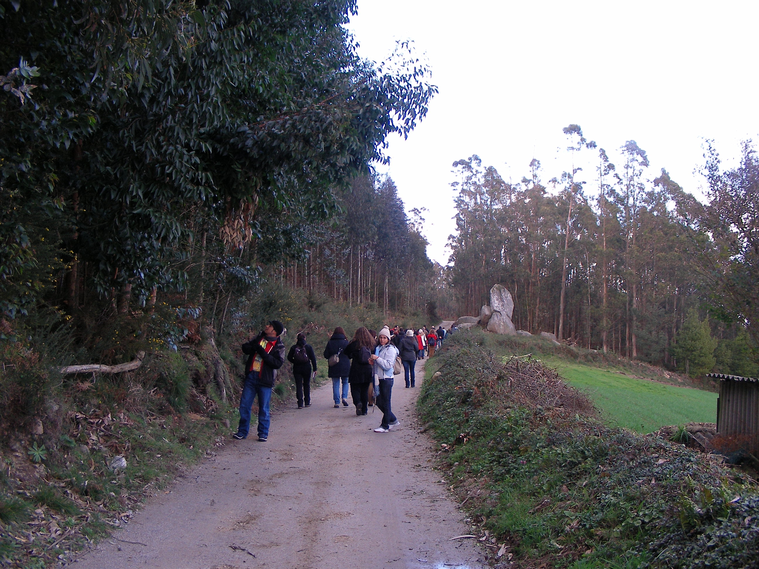 SANYO DIGITAL CAMERA